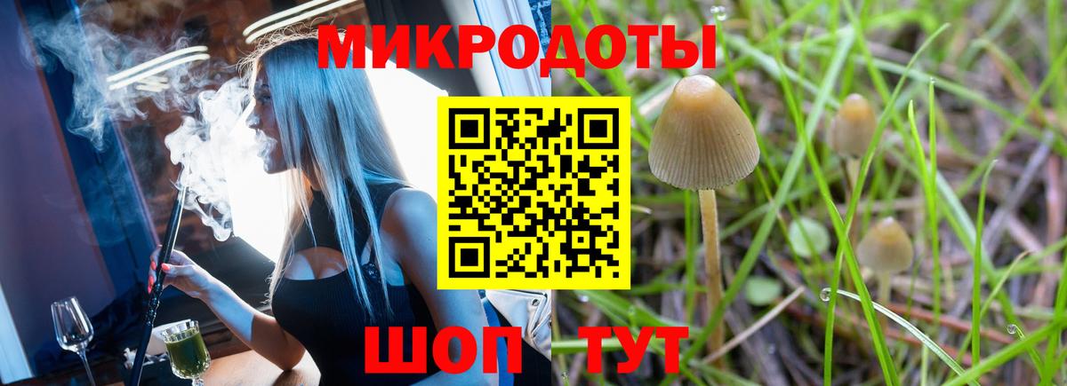 Псилоцибиновые грибы Magic Shrooms Рузаевка